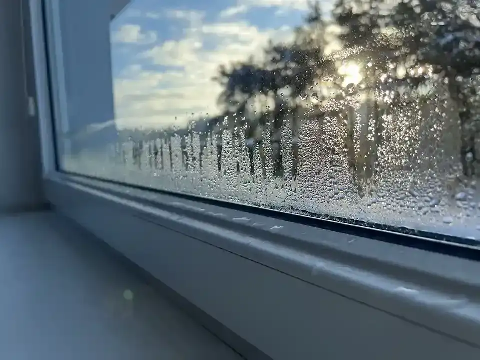Dlaczego mam mokre okna w domu? Oto przyczyny i skuteczne rozwiązania