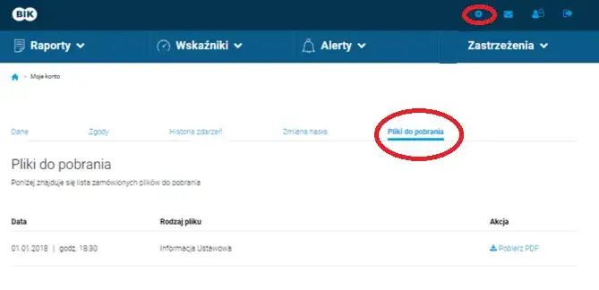 Darmowy BIK: Jak sprawdzić historię kredytową za darmo?