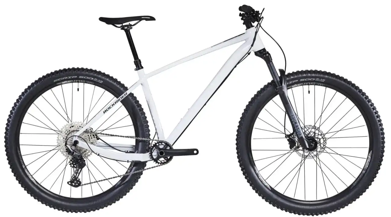 Jakie enduro do lasu: najlepsze modele na trudne tereny bez wysokich kosztów