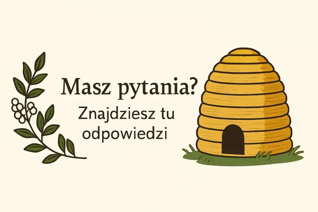 Czy miód ma termin ważności? Dowiedz się, jak długo jest bezpieczny