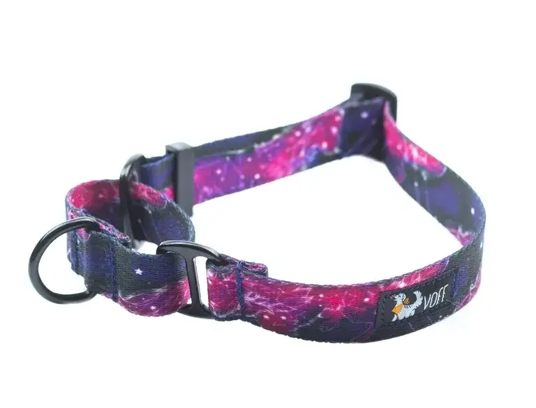 Obroża martingale dla kogo? Sprawdź, czy to idealny wybór dla twojego psa