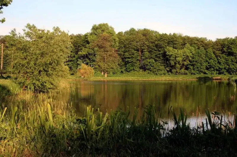 Łowisko Dawidy: Sprawdź, co musisz wiedzieć przed wędkowaniem