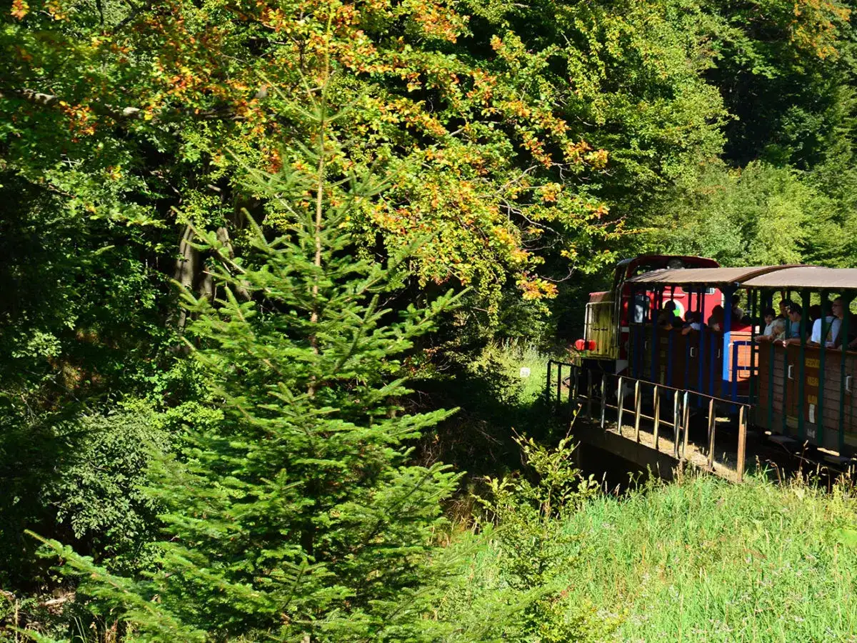 Bieszczady: Majdan Kolejka Leśna, szlaki i atrakcje. Co odkryjesz?
