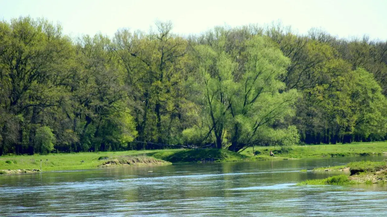 Temat rzeka co to znaczy? Zrozum jego głębokie znaczenie i kontekst