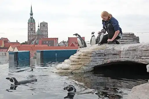 Oceanarium Stralsund opinie: co warto wiedzieć przed wizytą?