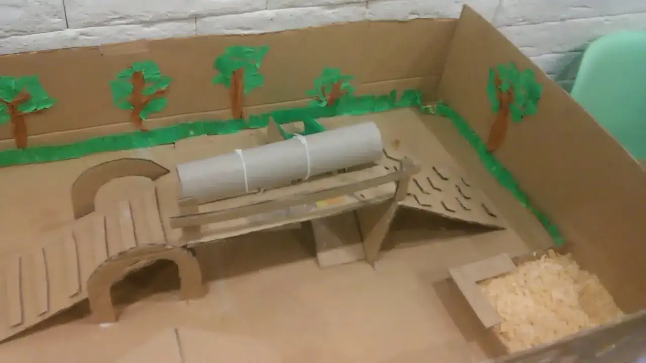 Jak zrobić plac zabaw dla chomika, aby był bezpieczny i angażujący