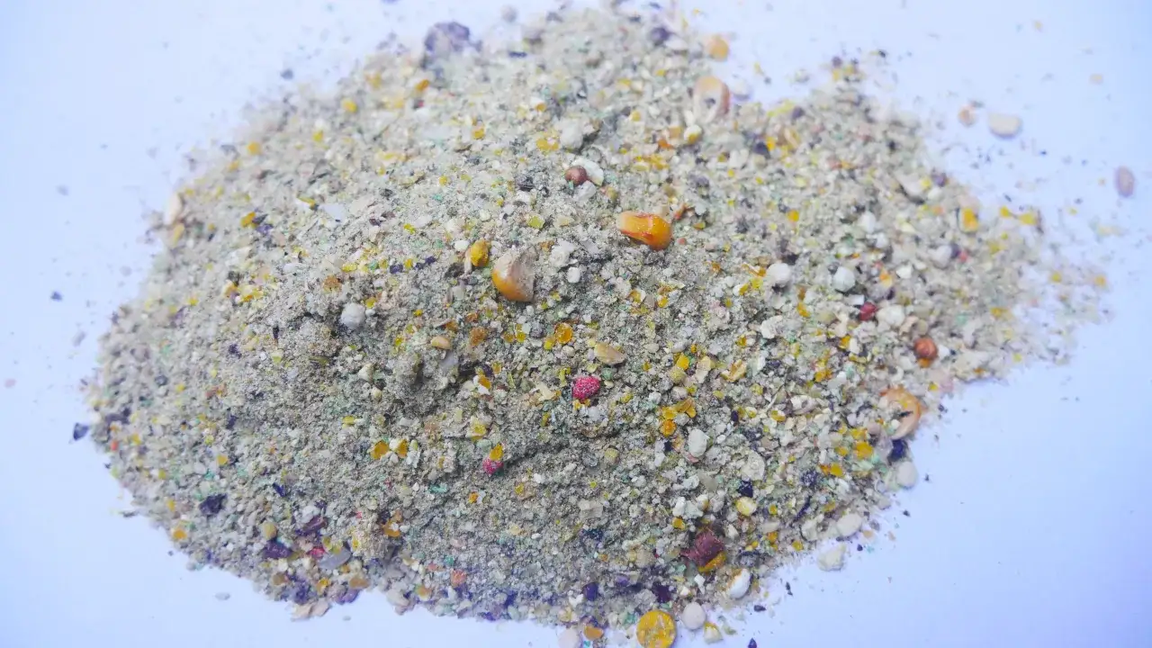 Zanęta na lina i karasia: Sekrety skuteczności! Domowe i gotowe