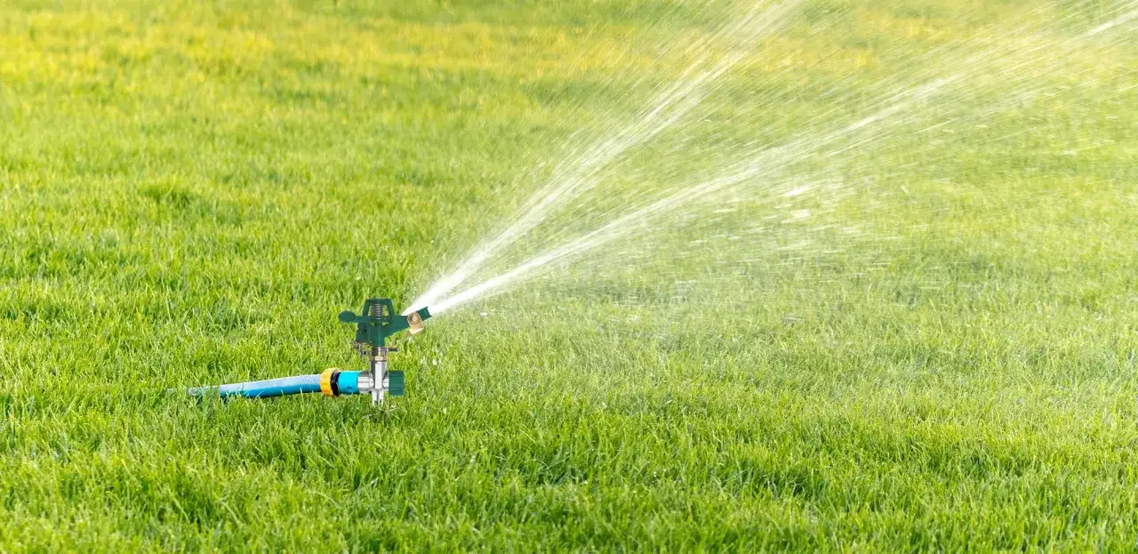 Jak obliczyć zraszacze? Klucz do wydajnego nawadniania ogrodu