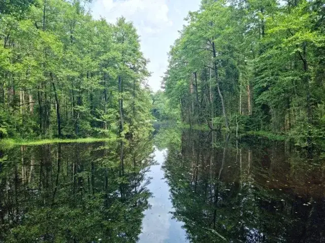 Jezioro Firlej lubelskie - odkryj piękno i atrakcje tego miejsca