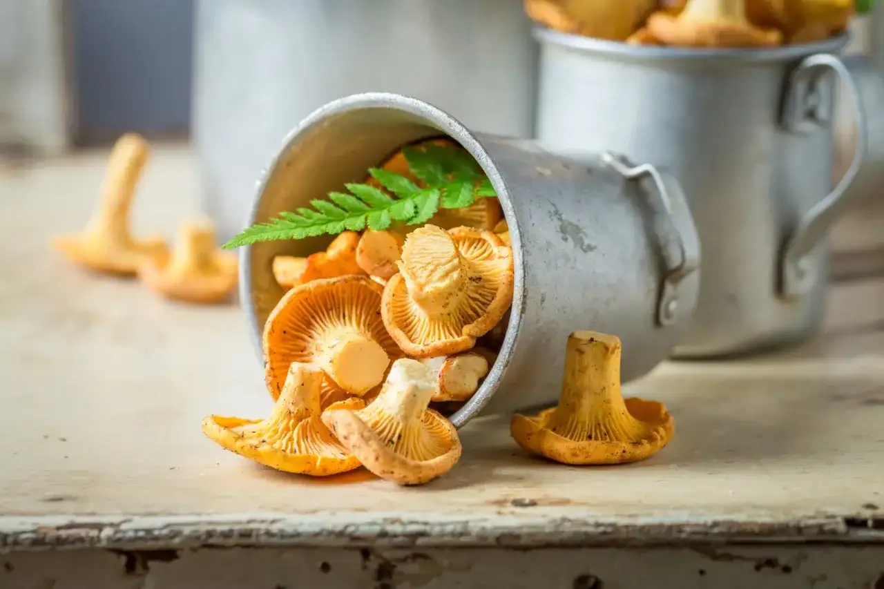 Jakie przyprawy do kurek wydobędą ich pełny smak i aromat?