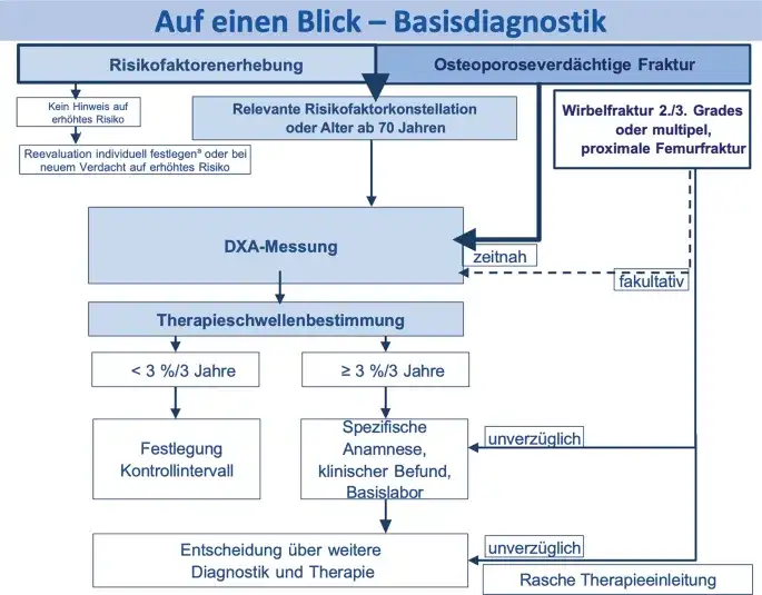 Die entscheidenden Schritte zur Osteoporose Diagnostik verstehen