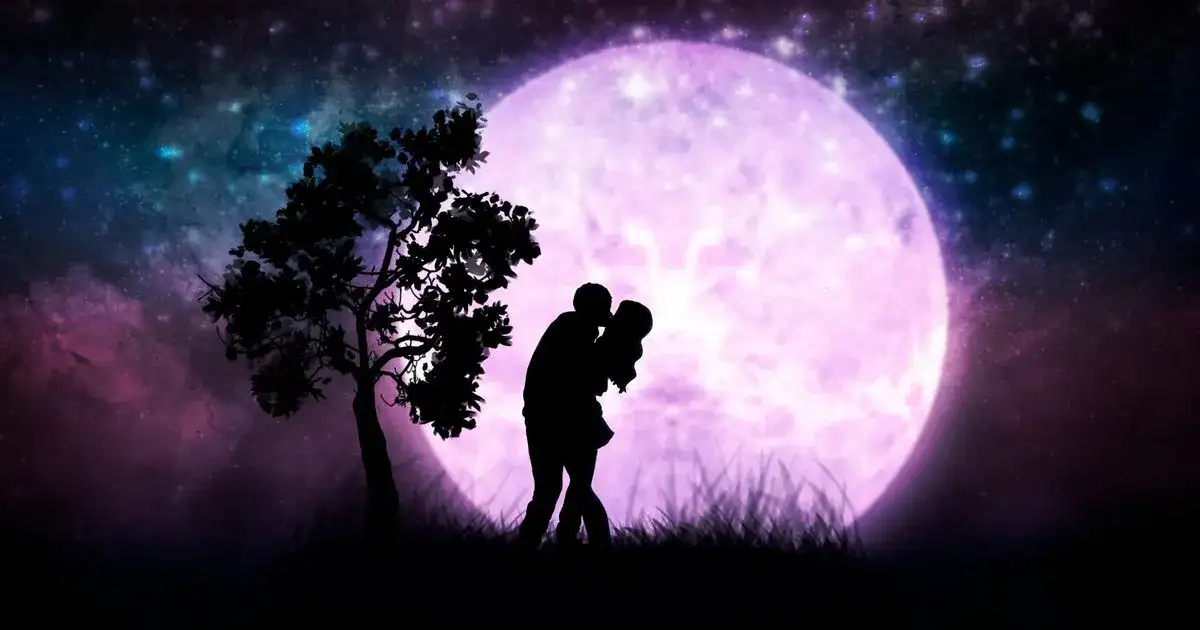 Lew i Lew: Czy tworzą idealną parę? Zalety i wady tego związku