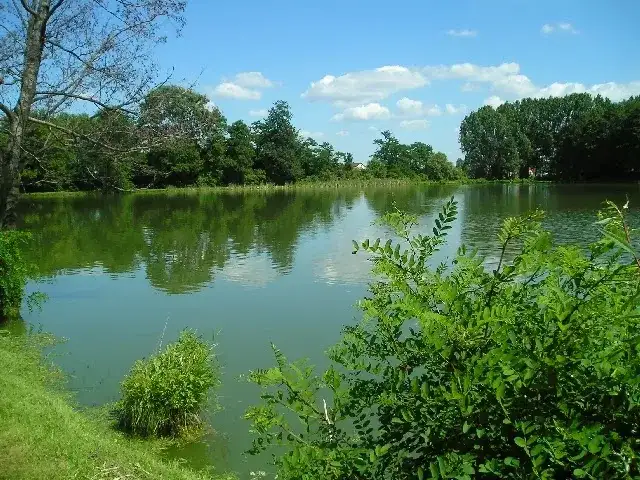 Cennik łowiska 3 Stawy Goryń – poznaj ceny i zasady wędkowania