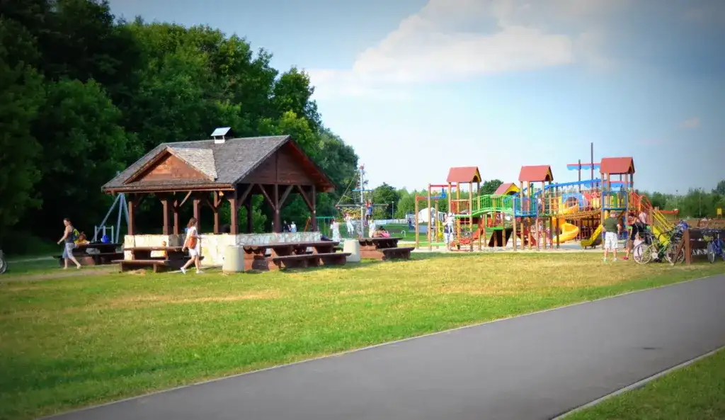 Rezerwat przyrody Lisia Góra – odkryj wyjątkowe piękno natury Rzeszowa