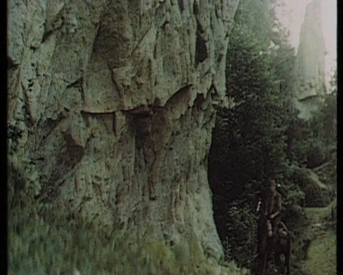 Gdzie kręcono film Wilcze echa? Odkryj tajemnice lokalizacji w Bieszczadach