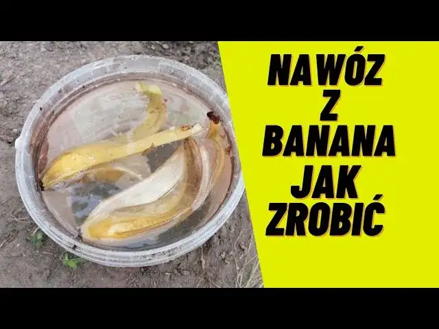 Nawóz ze skórki od banana - jak zrobić i stosować skutecznie