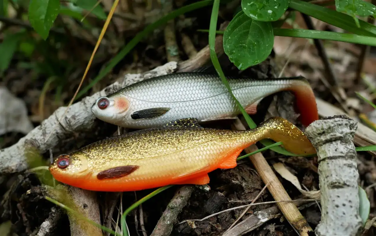 Skuteczne gumy przynęty na sandacza – wybierz najlepsze na połowy
