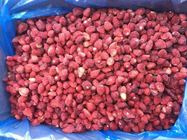 Gdzie kupić mrożone poziomki? Sprawdź najlepsze miejsca i oferty