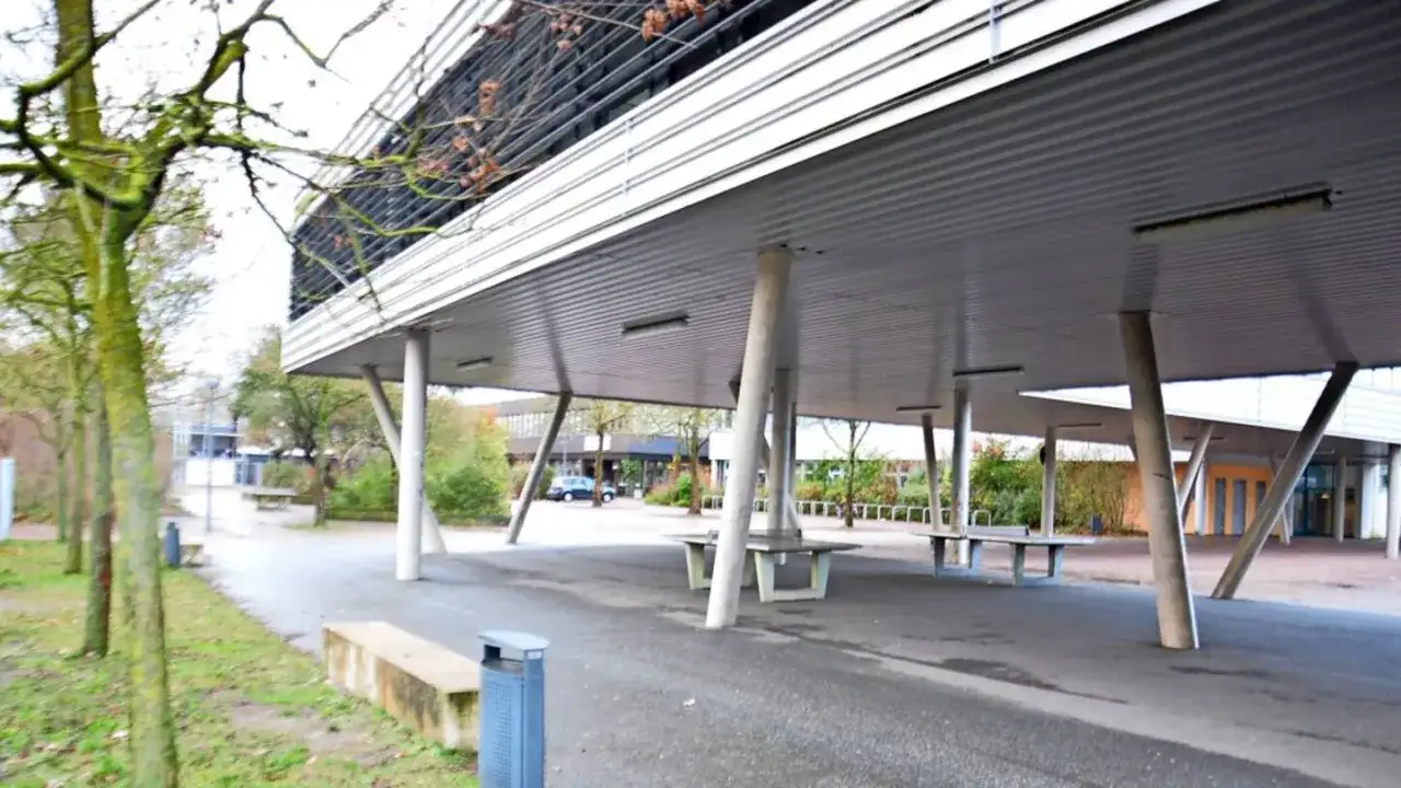 Leine-Schule in Neustadt: Angebote, Bewertungen und wichtige Infos