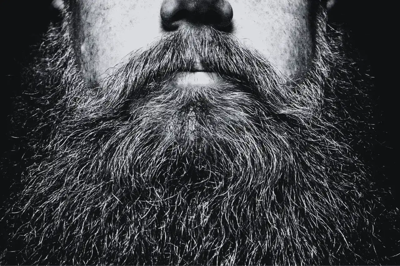 Zbliżenie na gęsty, siwy zarost. Dowiedz się, jak przyciąć zarost, by wyglądał schludnie i stylowo.