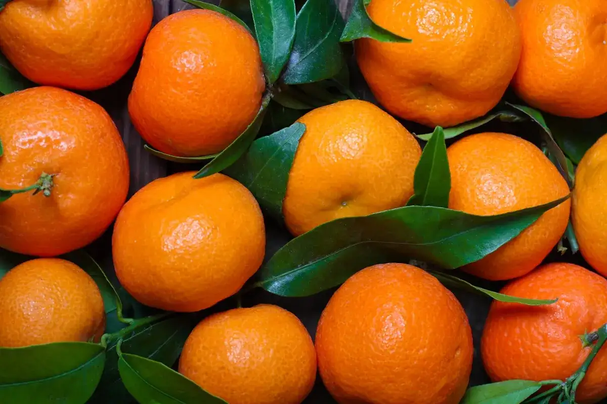 Mandarynka ile kcal - poznaj kaloryczność i zdrowotne korzyści