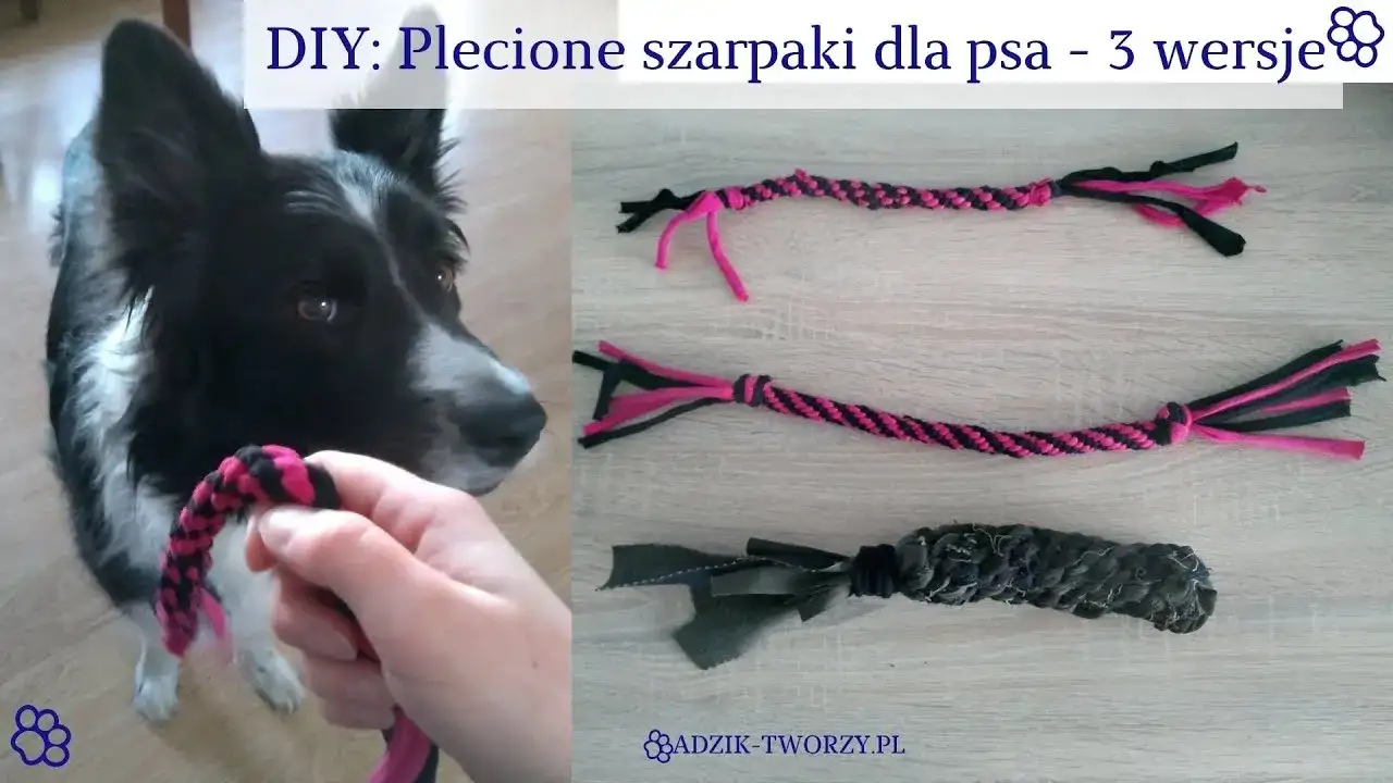 Jak zrobić szarpak dla psa DIY? Poradnik krok po kroku!
