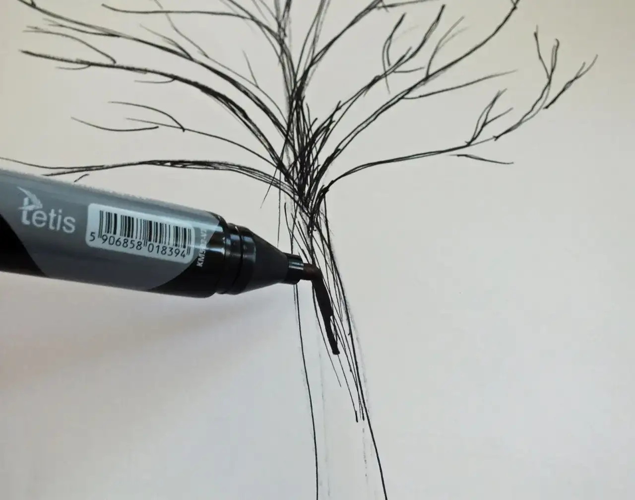 Jak narysować jesienne drzewo: proste techniki i kreatywne pomysły