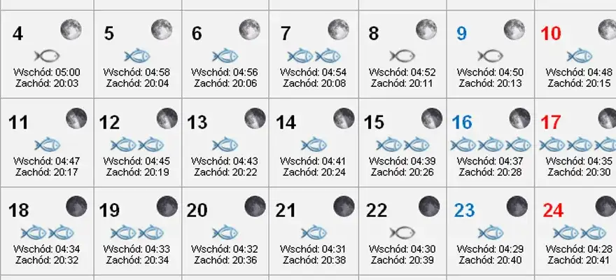 Profesjonalny Kalendarz Brań 2021 - Kalendarz Ryb Lipiec 2022