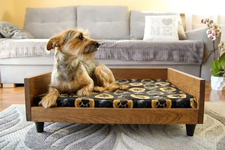 Jak zrobić drewniane legowisko dla psa - proste kroki i porady