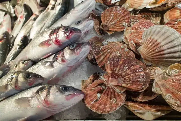 Da Felice Rialto: scopri i segreti del pesce fresco e cicchetti