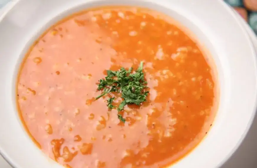 Czy pies może jeść zupę pomidorową? Sprawdź, co musisz wiedzieć