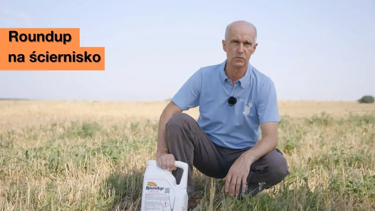 Jak opryskiwać randapem skutecznie i bezpiecznie, unikając błędów