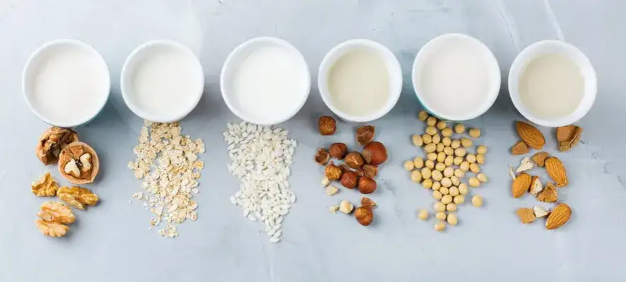Co to jest mleko roślinne i dlaczego warto je pić każdego dnia