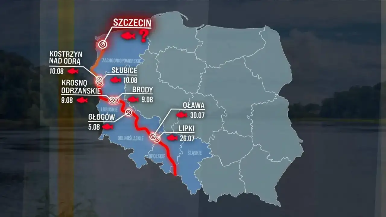 Gdzie rodzi się Odra? Przewodnik po źródłach i okolicznych atrakcjach