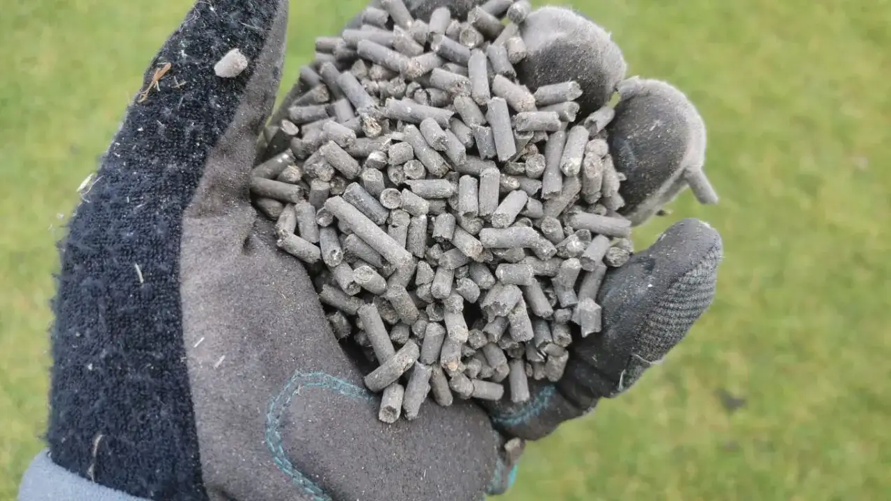 Jaki obornik na trawnik? Odkryj najlepsze nawozy dla zdrowej trawy