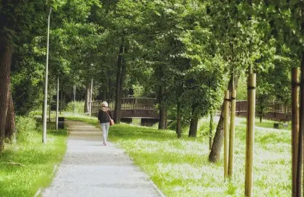 Miejsca warte odwiedzenia w Zielonej Górze. 7 propozycji