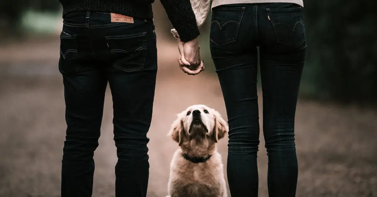  Najpiękniejsze cytaty biblijne o miłości - jak kochać bliźniego swojego?