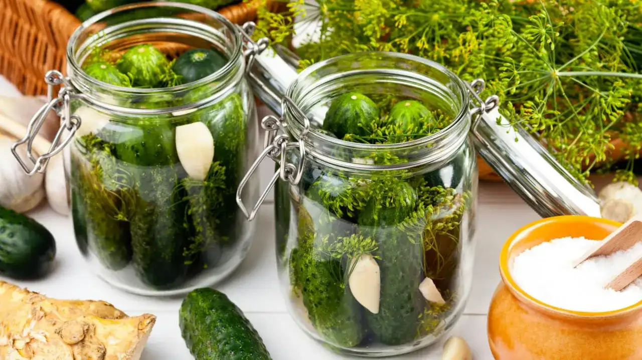 Słoiki z ogórkami, koprem i czosnkiem czekają na kiszenie. Czas kiszenia ogórków zależy od wielu czynników.