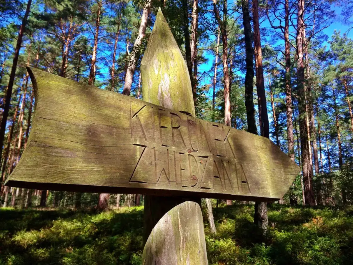 Rezerwat przyrody w Polsce opis: poznaj ich niezwykłe tajemnice