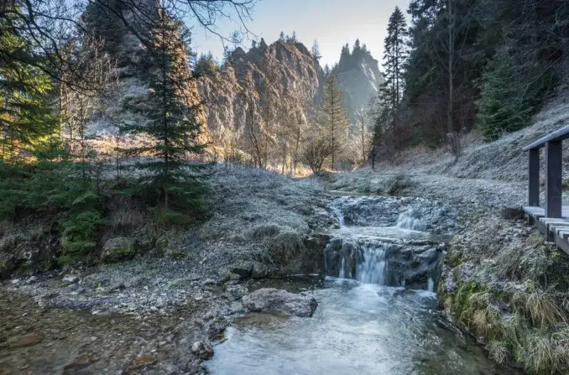 Rezerwat przyrody Wąwóz Homole - unikalne miejsce pełne tajemnic