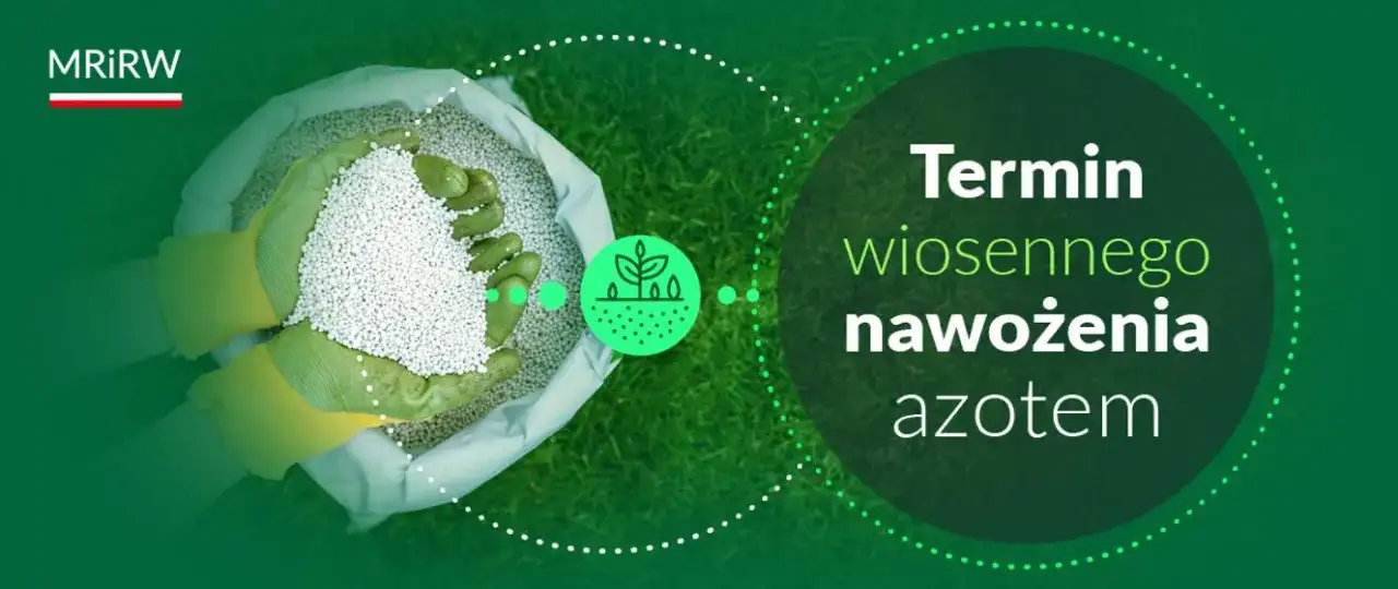 Kiedy można siać nawozy azotowe wiosną? Sprawdź kluczowe warunki