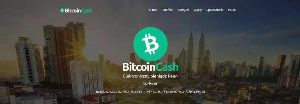 Bitcoin Cash czy warto: Analiza opłacalności inwestycji w BCH
