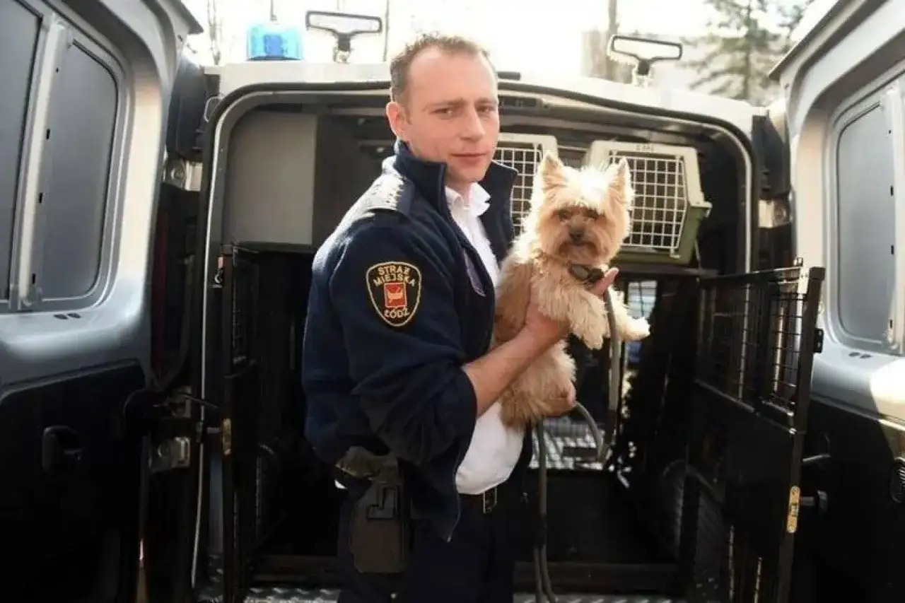 Komendant straży miejskiej w Łodzi - Patryk Polit i jego inicjatywy