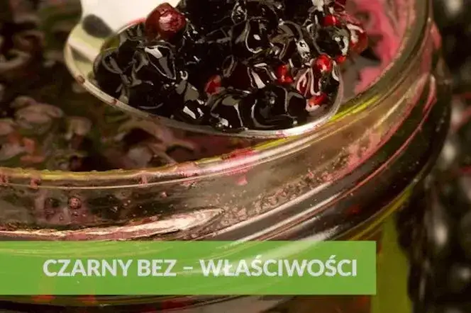 Jak zrobić sok z czarnego bzu - prosty przepis i ważne wskazówki
