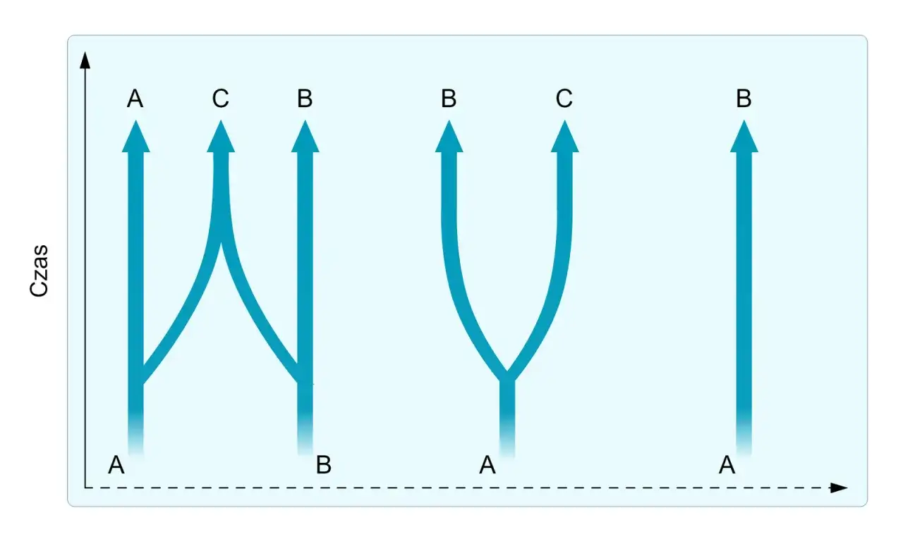 Izolacja geograficzna: Jak bariery tworzą nowe gatunki?