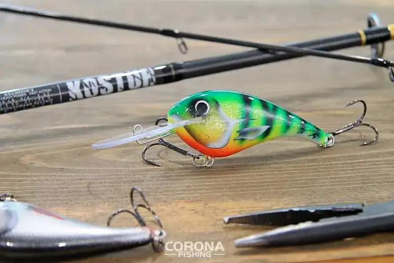 Najlepsza przynęta na suma forum - skuteczne porady wędkarzy