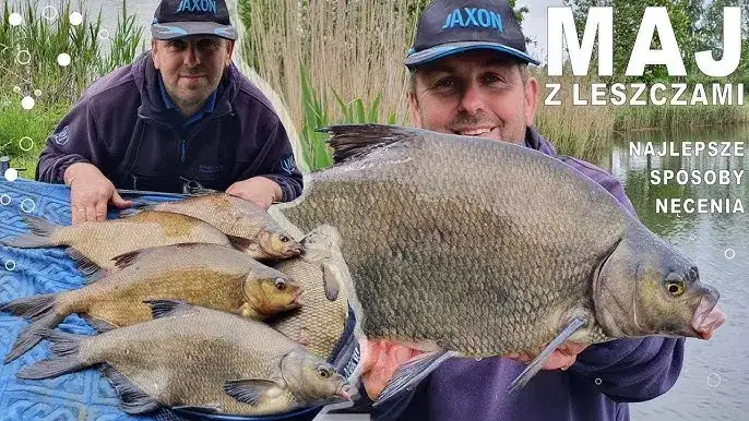 Najlepsze przynęty na leszcza: sprawdzone przepisy i triki na rekordowe połowy