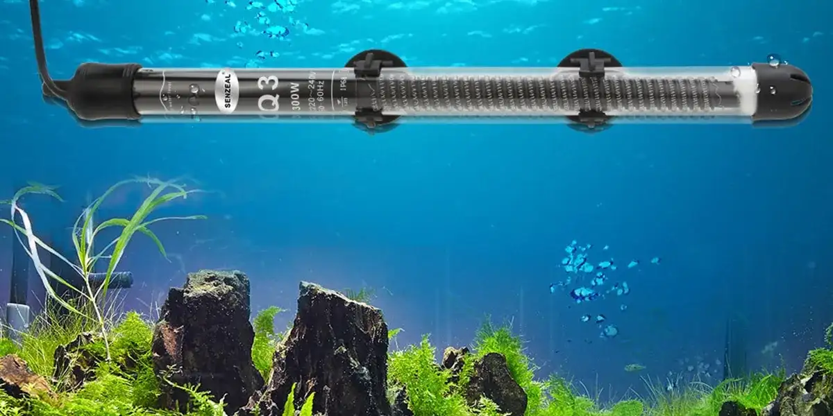 Jak zamontować grzałkę w akwarium - uniknij najczęstszych błędów