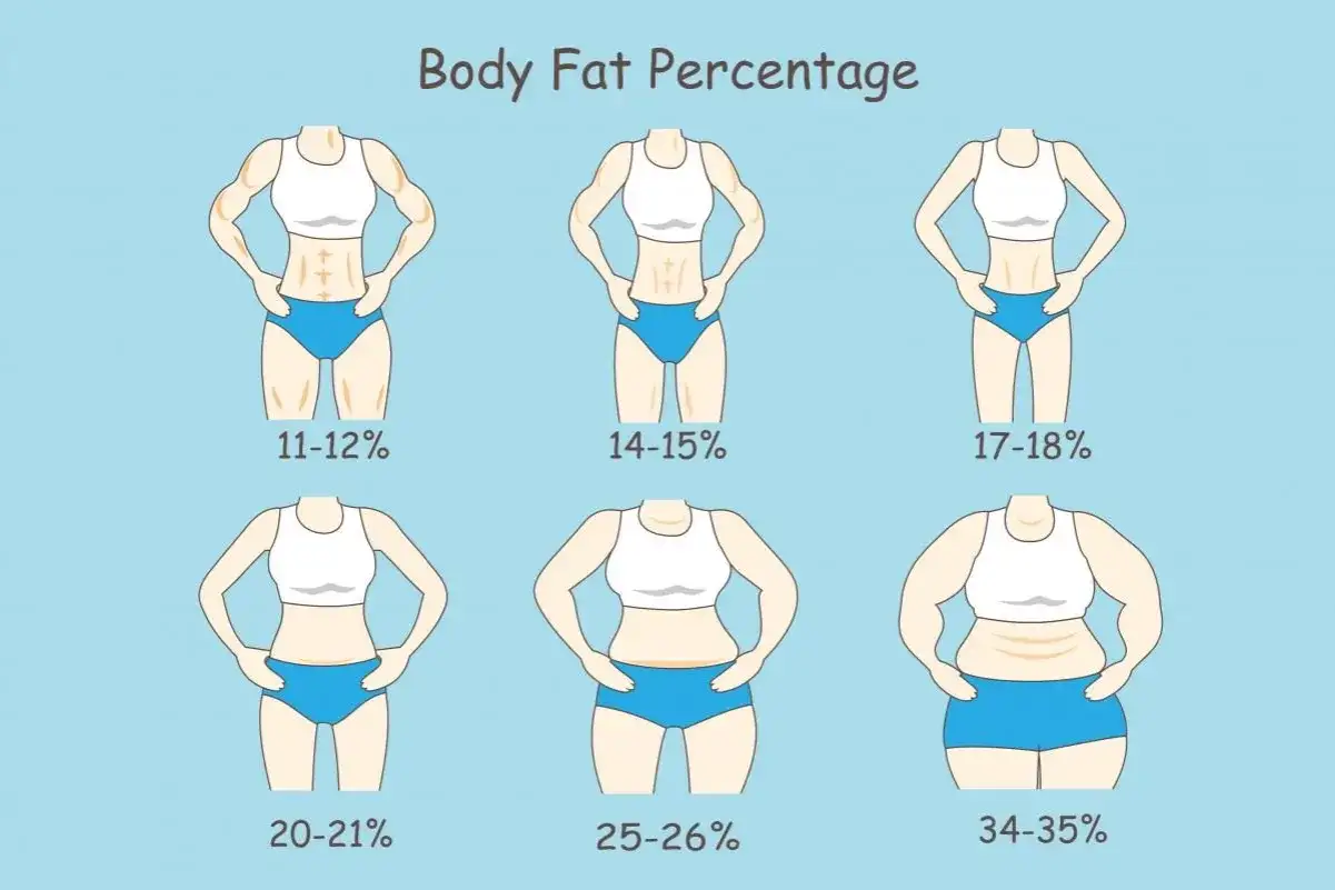 Ilustracja pokazuje sześć sylwetek kobiet z różnym procentem tkanki tłuszczowej, od 11-12% do 34-35%.