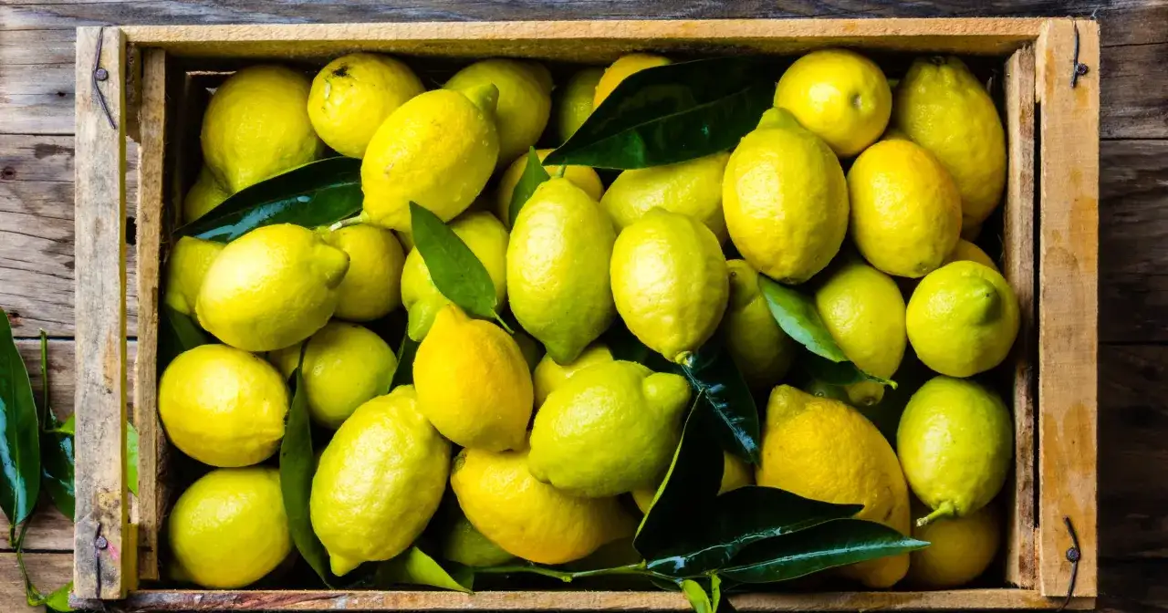 Czy sok z cytryny jest zdrowy? Odkryj korzyści i ryzyka zdrowotne